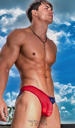 A-O-M's Favorites TMG _F_013549