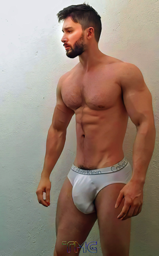 A-O-M's Favorites_TMG _F_014423