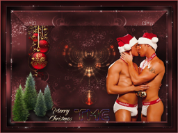 !GAY Xmas TMG_D_102446